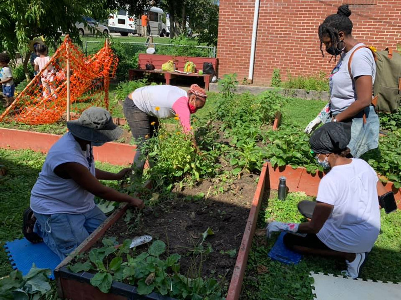 Volunteers at Pleasant Hope Baptist Church in Baltimore, Maryland work in “Maxine’s Garden,” a vegetable and herb garden located on the church’s front lawn. Named for a senior parishioner who tended the garden from its initial stages, the church sells the produce at onsite farmers market events.