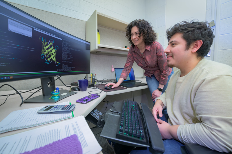 Jodi Hadden-Perilla (left), assistant professor of chemistry and biochemistry at the University of Delaware, is working to understand how viruses work and also working to help others understand computational biochemistry. Doctoral student Santiago Antolínez is in his second year of study in her group. Jodi Hadden-Perilla (left), assistant professor of chemistry and biochemistry at the University of Delaware, is working to understand how viruses work and also working to help others understand computational biochemistry. Doctoral student Santiago Antolínez is in his second year of study in her group.