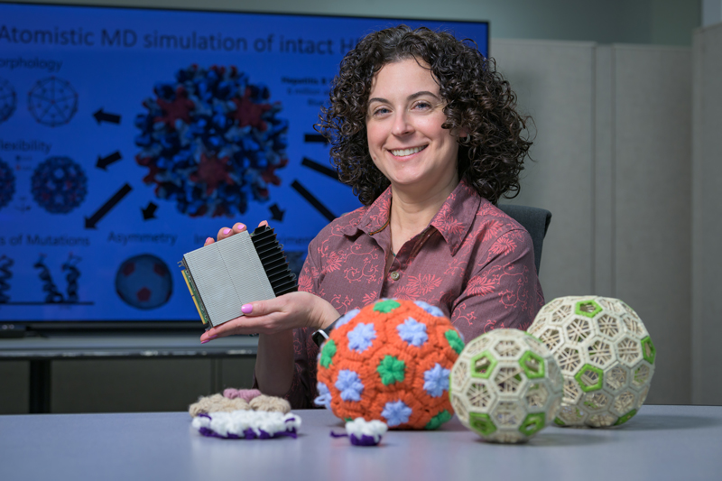 The National Science Foundation has awarded an Early Career Award to Jodi Hadden-Perilla, assistant professor of chemistry and biochemistry at the University of Delaware. The award brings five years of support for her study of viruses and the processes they use to hijack healthy cells. The National Science Foundation has awarded an Early Career Award to Jodi Hadden-Perilla, assistant professor of chemistry and biochemistry at the University of Delaware. The award brings five years of support for her study of viruses and the processes they use to hijack healthy cells.