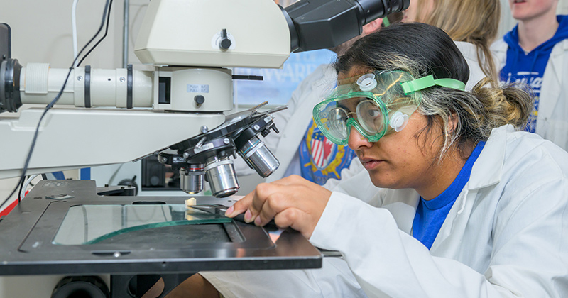 Juniors in UD’s materials science and engineering major take two semesters of laboratory courses (MSEG 305 and 315), where they collect data as they go through new laboratory techniques and problem solving as part of a team. 