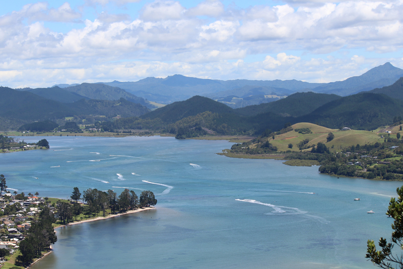 Environmental diversity in New Zealand