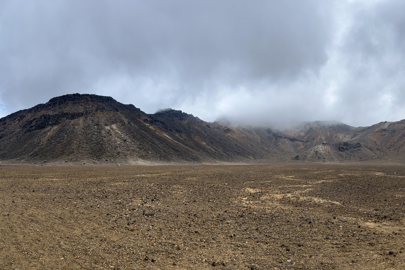 Environmental diversity in New Zealand