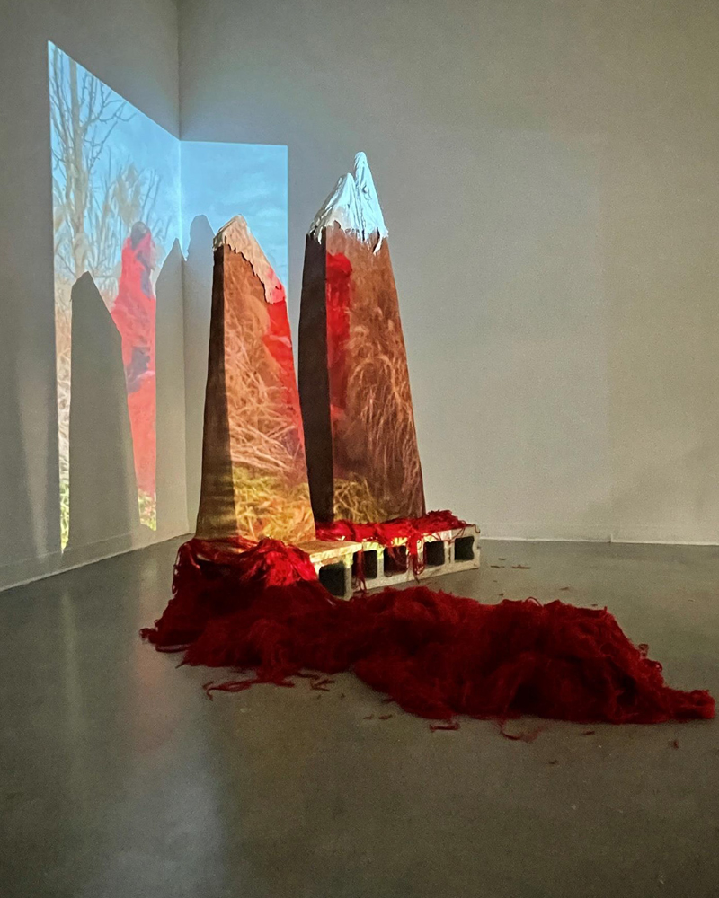 “Bear the Burden of Borders” is a mixed media artwork with two sculpture mountains, red yarn and projected video