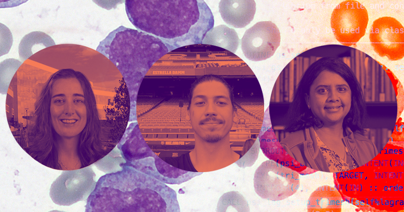 Artificial intelligence aids leukemia fight Artificial intelligence aids leukemia fight