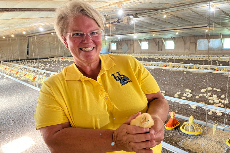 Georgie Cartanza, poultry extension agent for UD Cooperative Extension, stands in one of her chicken houses with chicks that are just three days old.