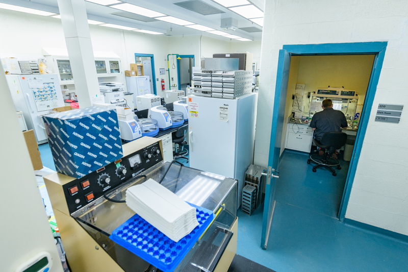 UD’s Lasher Laboratory in Georgetown UD’s Lasher Laboratory in Georgetown