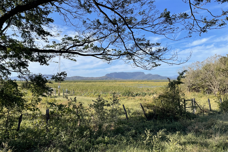 Palo Verde National Park