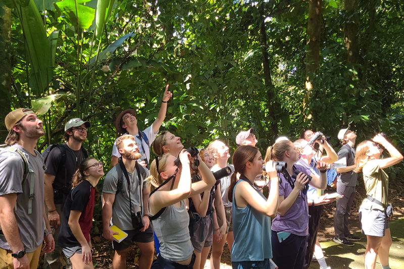Students watch a variety of birds in the trees of Costa Rica.