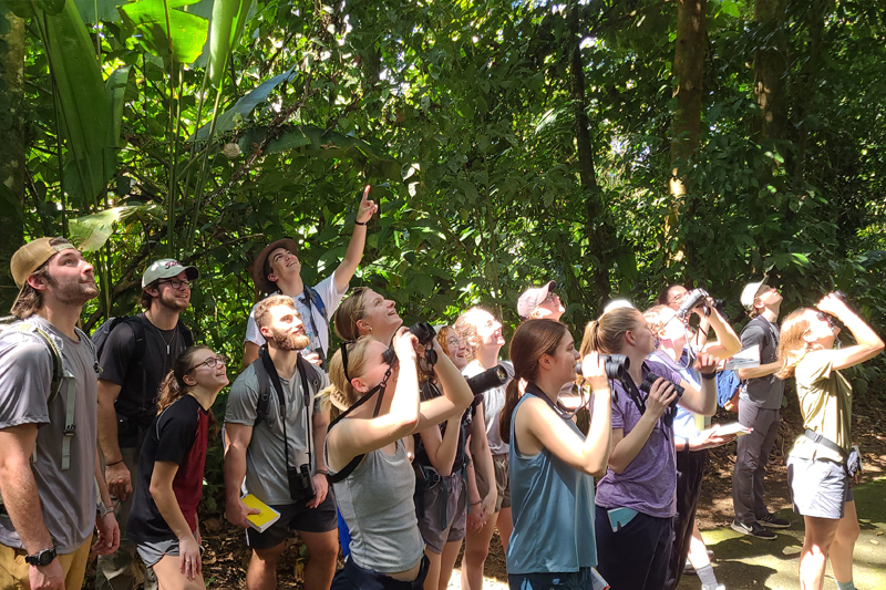 Students watch a variety of birds in the trees of Costa Rica. Students watch a variety of birds in the trees of Costa Rica.