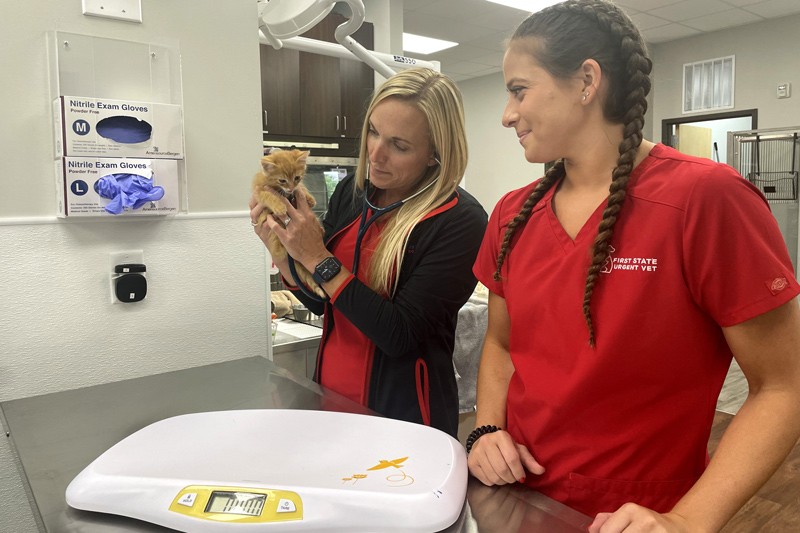 UD alumna Amanda Lawrie (left) and Scott examine a kitten named Simba. 