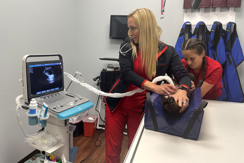 UD alumna Amanda Lawrie (left) and Scott examine Bruno.