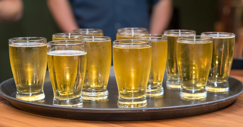 beer in glasses beer in glasses