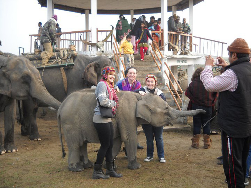 Barua’s students befriend elephants at the Kaziranga Wildlife Sanctuary. 