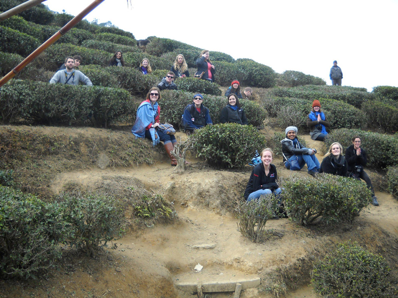 The class learned among the tea bushes in Darjeeling. The class learned among the tea bushes in Darjeeling.