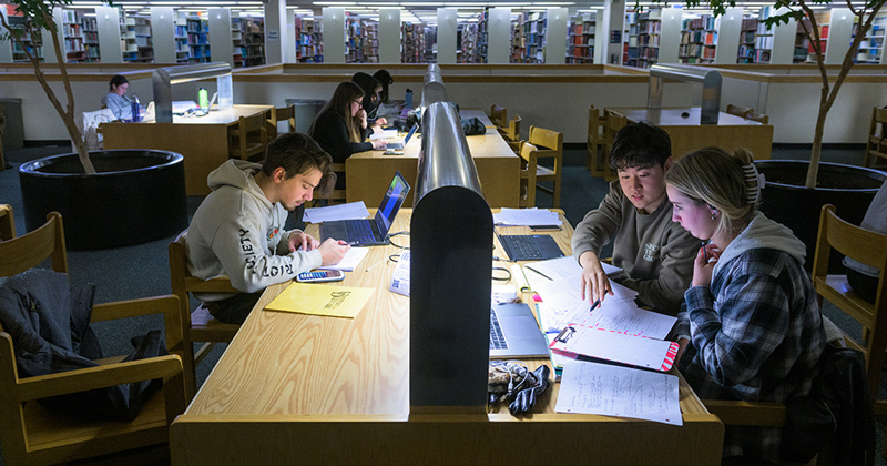 Students work individually and collectively at the UD Library.