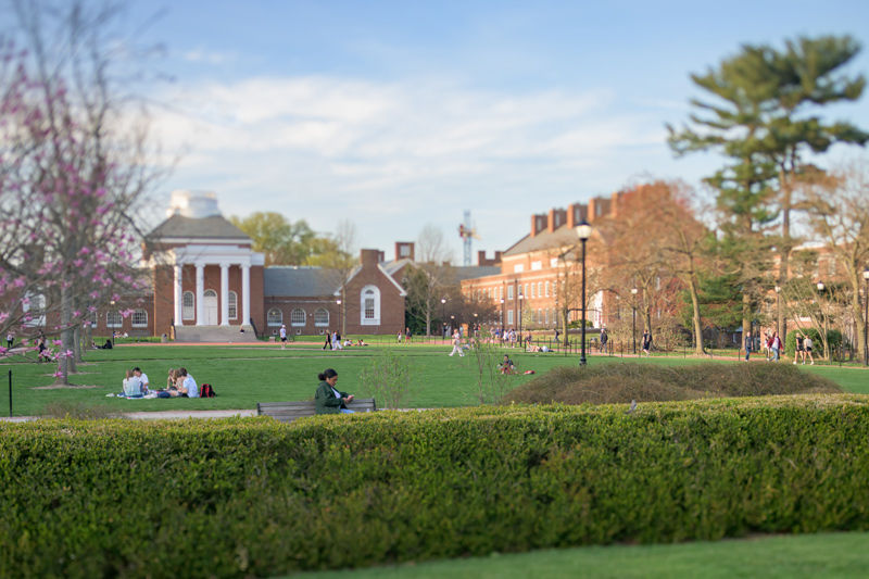 Campus beauty