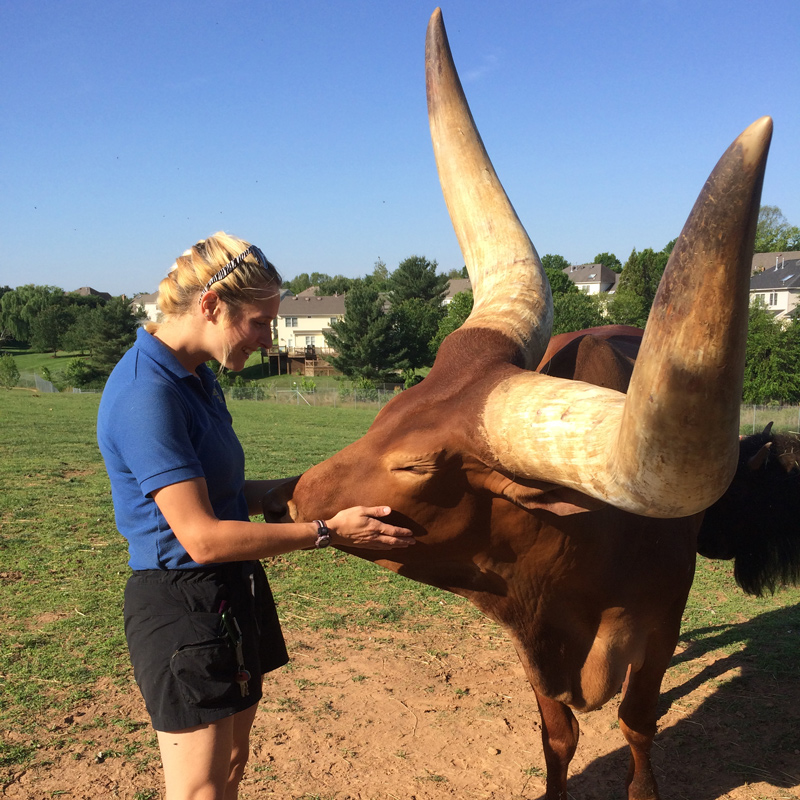 Lizzy Baxter worked as a zookeeper for Reston Zoo in Northern Virginia.