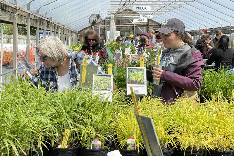 The UD Botanic Gardens spring plant sale will feature Acer and Geranium.