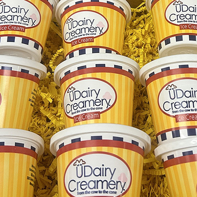 UDairy ice cream