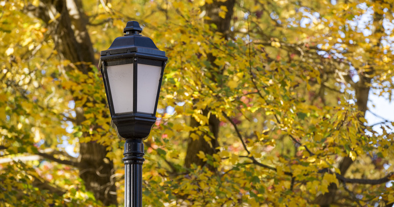 Lamp with leaves, fall beauty Lamp with leaves, fall beauty
