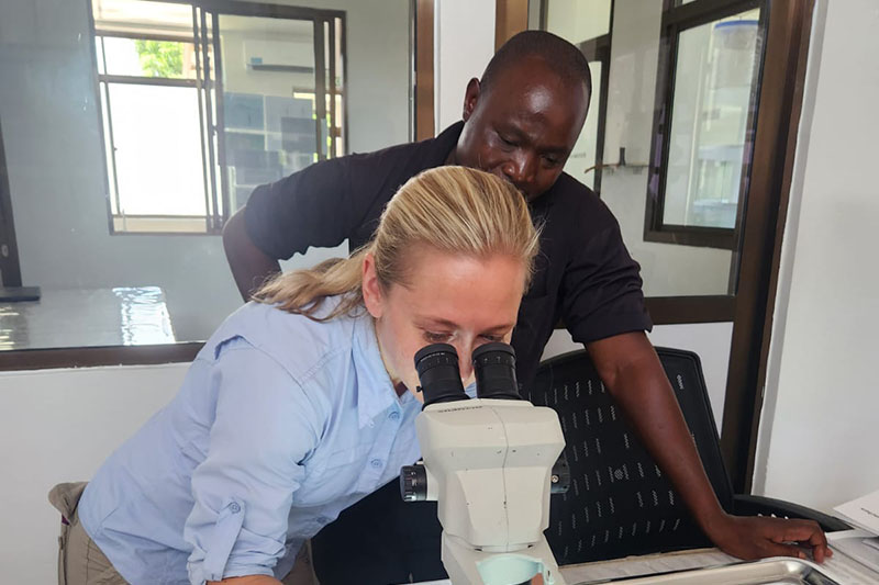 Kading and a collaborator view mosquitoes through a microscope in Tanzania. Kading and a collaborator view mosquitoes through a microscope in Tanzania.