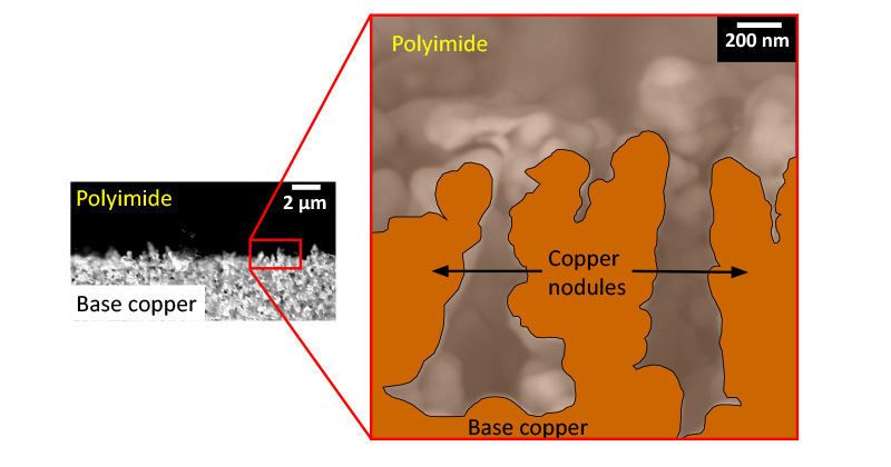 While delving into the adhesion mechanism between the polyimide and copper, the researchers found that, as the highly viscous polymer filled in the spaces around the rough copper nodules, it formed a mechanical interlock