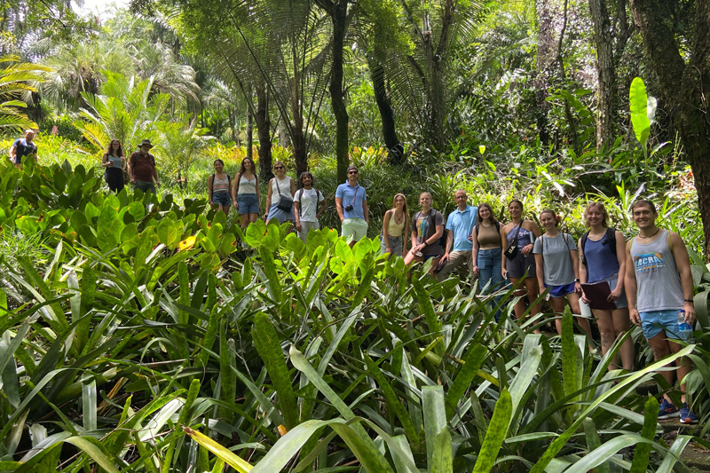 The UD study abroad group posed during a pause from walking down the steps in Roberto Burle Marx’s sítio. These steps lead from his studio to a pond garden he planned and executed near the end of his life.