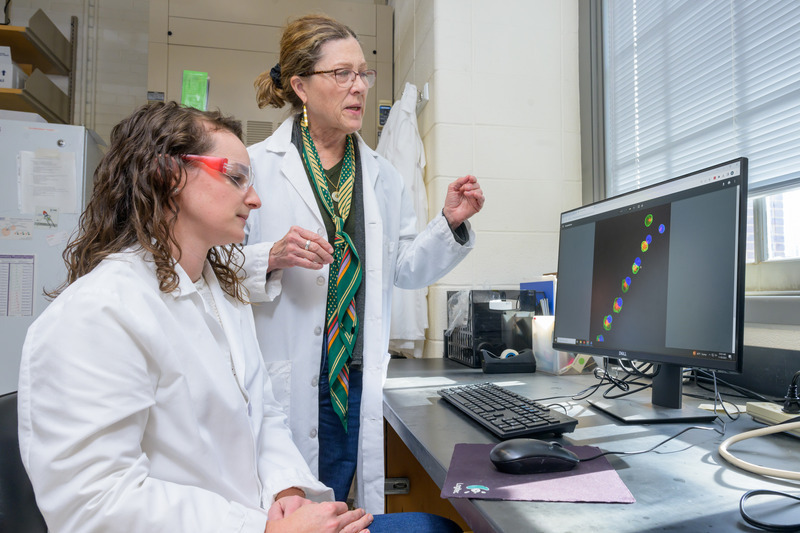Velia Fowler (standing), chair of the Department of Biological Sciences and pioneering researcher in the architecture of cells, examines F-actin and other proteins in the structure of red blood cells with lab manager Megan Coffin. Fowler has shown that dysregulation of F-actin can contribute to a wide range of health issues, including blood disorders, cataracts and osteoarthritis.