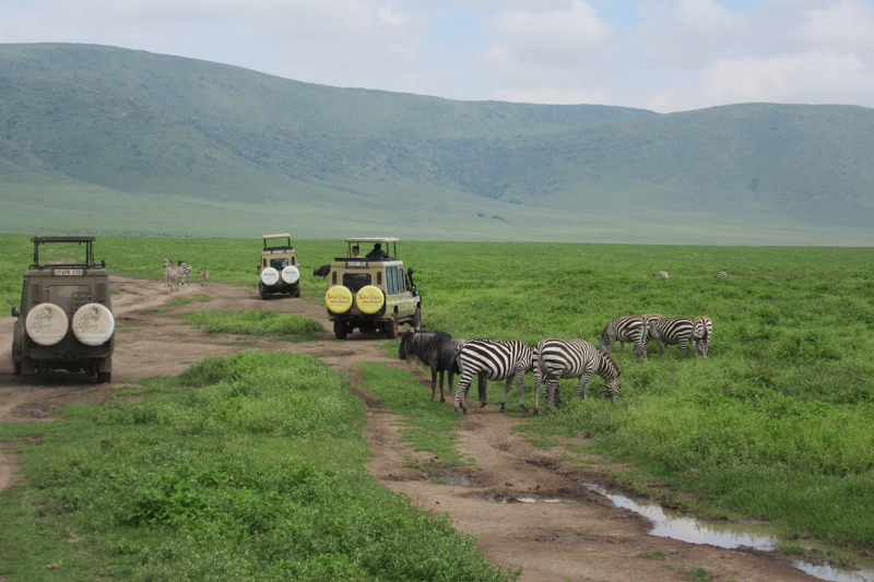 UD students saw stunning views within the Ngorongoro Crater.