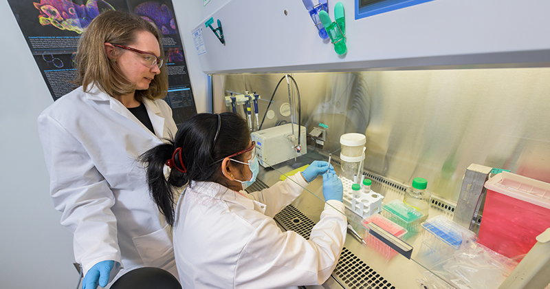 Kloxin (left) and Lina Pradhan work in the Kloxin lab located in the Ammon Pinizzotto Biopharmaceutical Innovation Center on UD’s Science, Technology and Advanced Research (STAR) Campus.