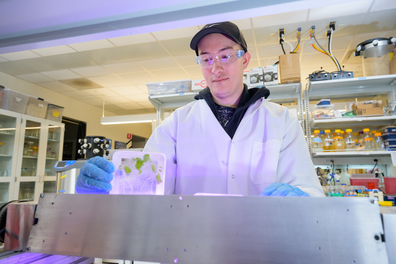 Noah Totsline, an alumnus of UD's Department of Plant and Soil Sciences graduate program, worked in the College of Agriculture and Natural Resources lab of Harsh Bais on a NASA-sponsored project looking at how plants grown in space are more prone to infections of Salmonella compared to plants not grown in space or grown under gravity simulations. 