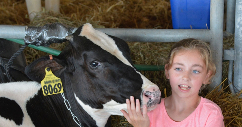 Livestock and animals are the heart of the Delaware State Fair. Livestock and animals are the heart of the Delaware State Fair.