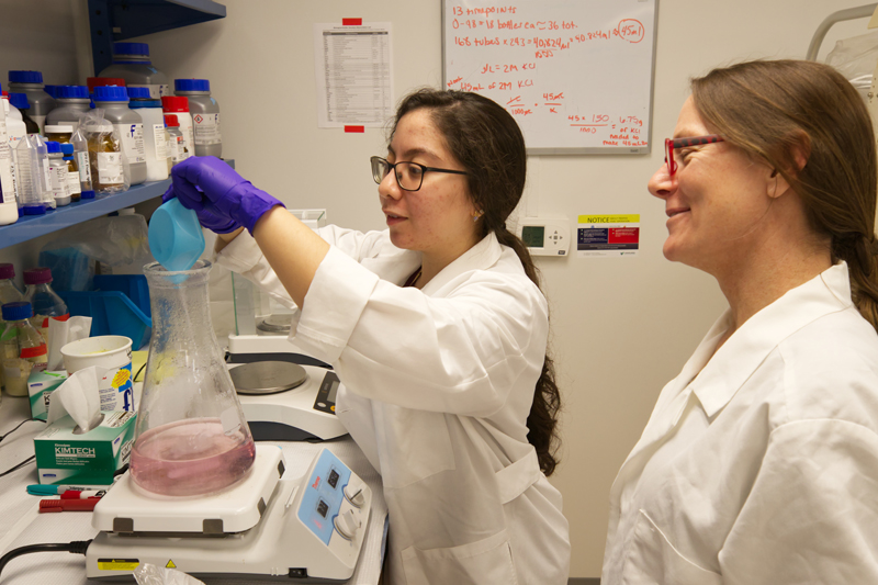 During her time as a non-thesis M.S. in Animal Science student, Gisselle Garcia worked in the lab with her faculty advisor Amy Biddle (right), conducting research on equine gut health.
