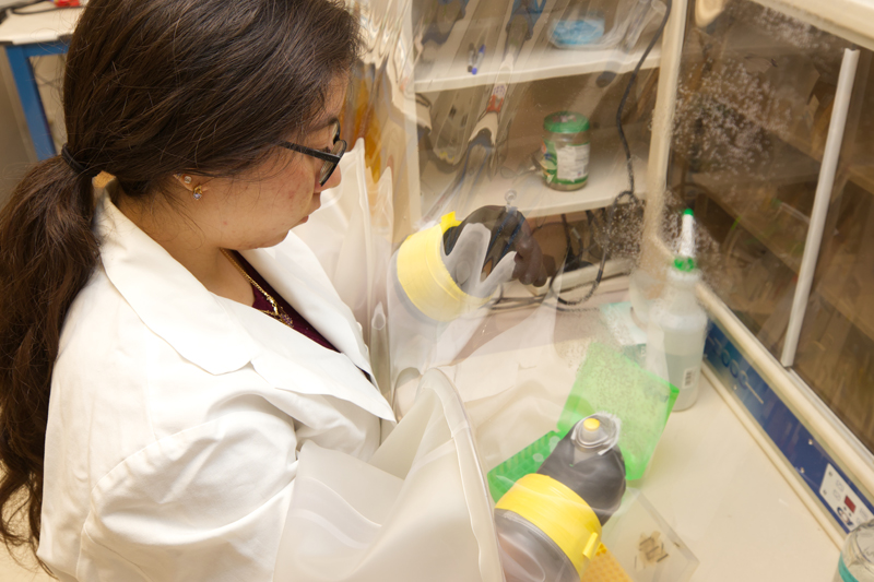 While at UD, Garcia assisted with research into the equine microbiome — the collection of all microbes, including bacteria, fungi and viruses that naturally occur in a horse’s gut.
