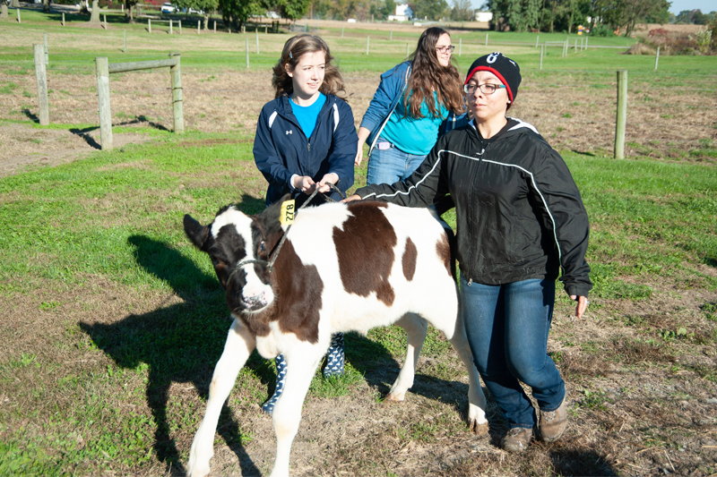 The University of Delaware Department of Animal and Food Sciences gives students like Gisselle Garcia (right), now a two-time UD alumna, opportunities to work with large animals on the UD Newark Farm.