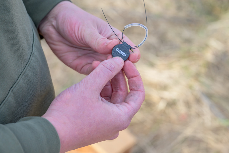 To track quail movement within the habitat, Hendell placed small radio-transmitters, as shown, onto the birds to track their location in real time.