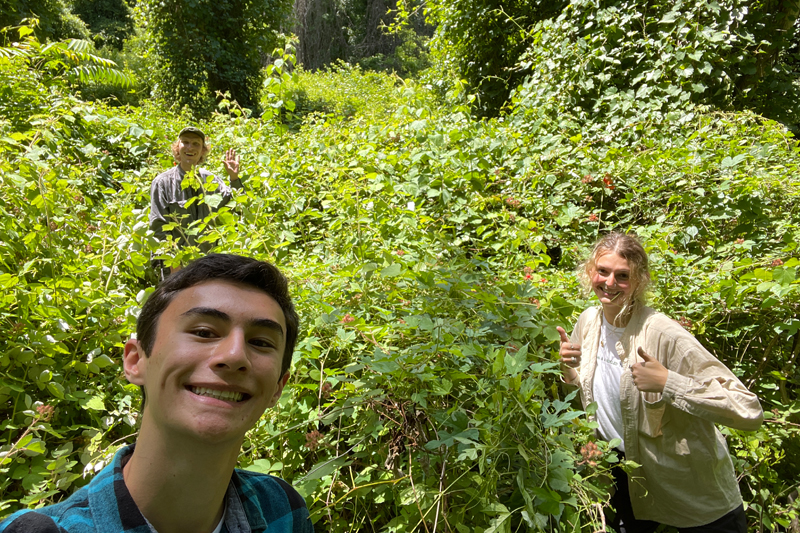 Wu and members of his first research project completed a vegetation survey in a Baltimore forest under the direction of Tara Trammell, John Bartram Associate Professor of Urban Forestry, who is Wu’s senior thesis advisor. 