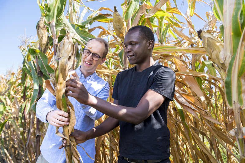 Kyle Davis (left), an associate professor with joint appointments in UD’s Department of Geography and Spatial Sciences and the Department of Plant and Soil Sciences and a resident faculty in UD’s Data Science Institute, and a UD alumnus, has been awarded with a National Science Foundation Early Career Development Award to continue his research looking at food systems. 