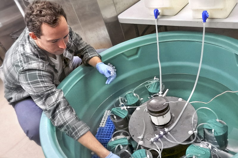 Nicholas Ray, assistant professor in the School of Marine Science and Policy, was part of a National Science Foundation research coordination network that released a paper focused on nitrogen fixation in freshwater and coastal ecosystems. Here, he conducts the lab work for one method of measuring sediment-water N2 fluxes (including N-fixation). Nicholas Ray, assistant professor in the School of Marine Science and Policy, was part of a National Science Foundation research coordination network that released a paper focused on nitrogen fixation in freshwater and coastal ecosystems. Here, he conducts the lab work for one method of measuring sediment-water N2 fluxes (including N-fixation).