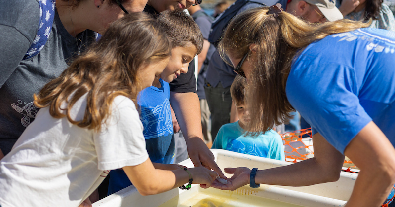 Visitors and children examine marine animals in the touch tanks with the help of a Coast Day volunteer.