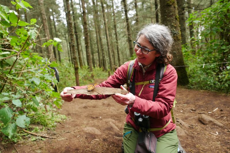University of Delaware College of Agriculture and Natural Resources alumna Stacy Wolff received the Monarch Butterfly Scholarship Grant to travel to the Monarch Butterfly Biosphere Reserve in Central Mexico. 