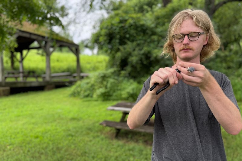 Will Krohn attaches a tiny metal band to a purple martin chick. The metal band, along with white plastic bands will help Krohn track where purple nestlings go once they’ve hatched. Will Krohn attaches a tiny metal band to a purple martin chick. The metal band, along with white plastic bands will help Krohn track where purple nestlings go once they’ve hatched.