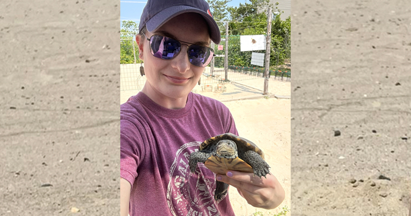 UD senior Samantha Melanson holding a diamondback terrapin named Whit.