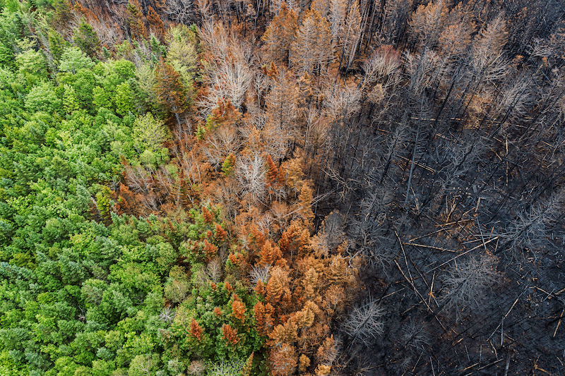 University of Delaware Professor Pei Chiu is exploring the capacity of carbon-rich materials called chars, including those left behind after wildfires, to help suppress methane in the environment.