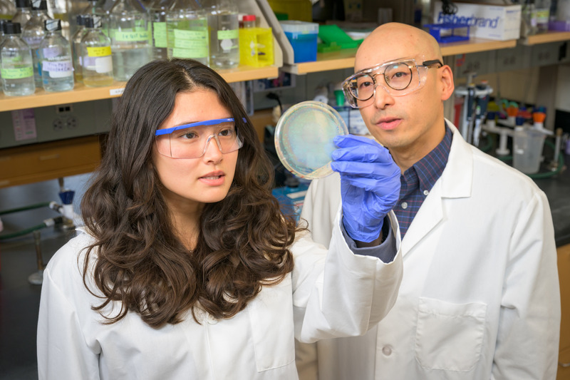 The Sutherland Lab promotes an informal mentoring network among its researchers. For example, Eveyln McQuaid (left), a sophomore chemical engineering major, has been working under the mentorship of Ray Tsao, a doctoral candidate in microbiology.