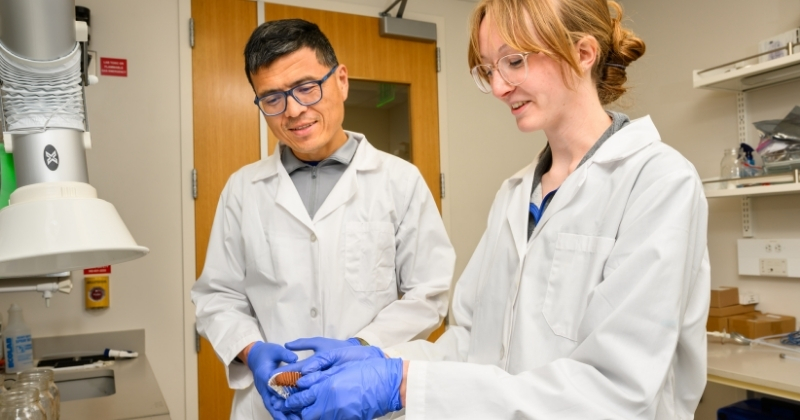 Drysdale worked with Hong Li, associate professor of animal science, for ten weeks over Summer Session through the UD Envision program. 