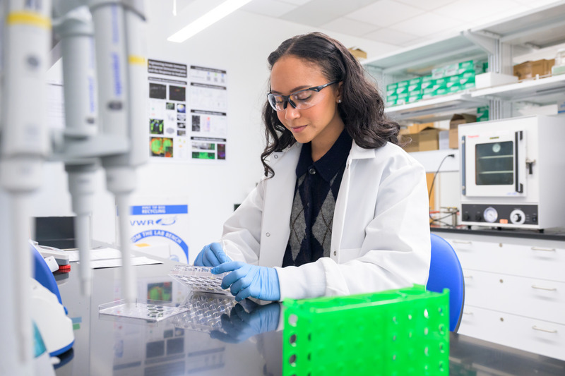 The winner of the 2025 George W. Laird Merit Fellowship, which recognizes outstanding and well-rounded first-year graduate students in the College of Engineering, is biomedical engineering doctoral student Mikayla Jackson.