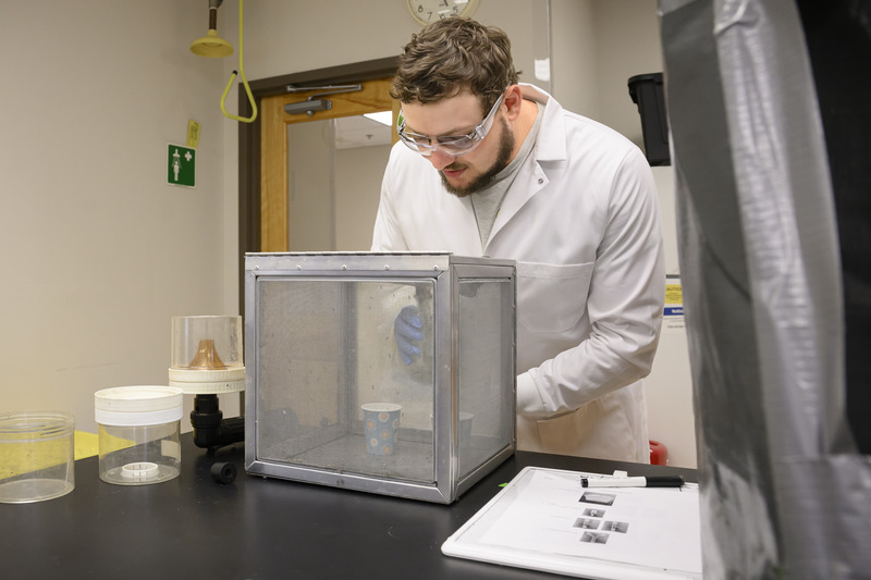 Winter removes sugar water to be changed for mosquitoes in his lab. 