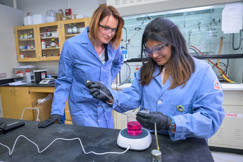 Laure Kayser looks on as Vidhika Damani prepares samples in the lab.