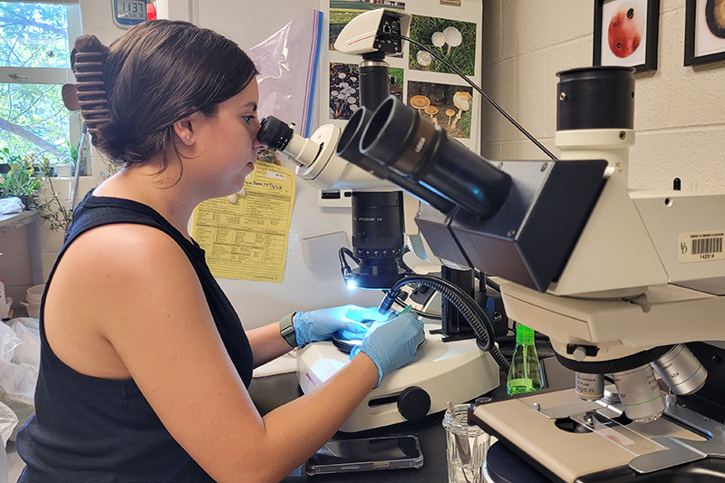 Jessica Weyl, a senior plant science major and an intern in Jill Pollok’s lab, uses the microscope to examine plant samples and diagnose problems. 